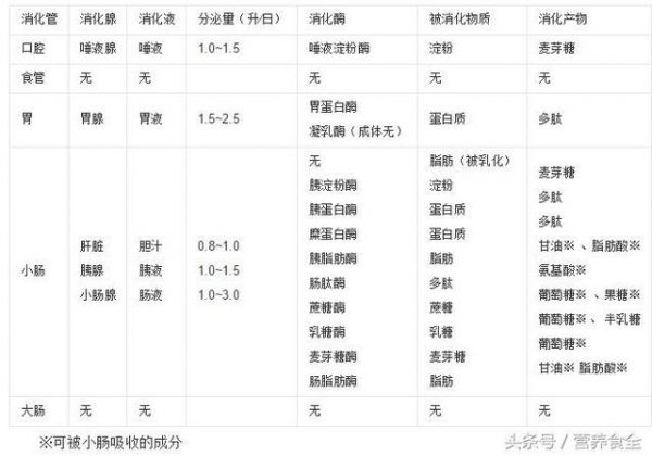 营养学知识三分钟:食物消化吸收