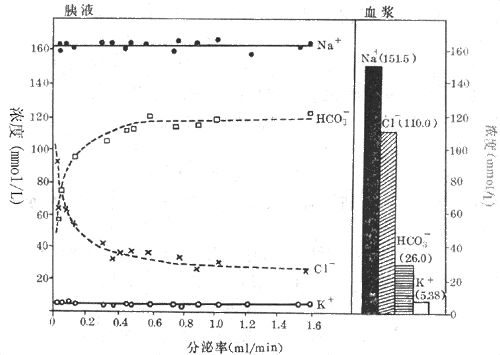 营养学知识三分钟:食物消化吸收