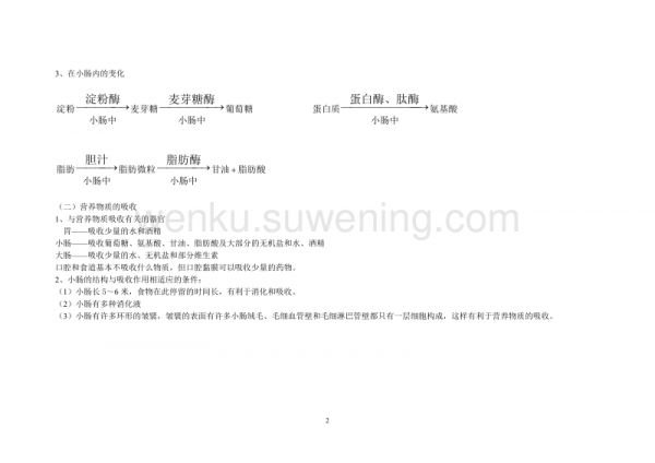 七年级生物 消化与吸收 知识点_第2页