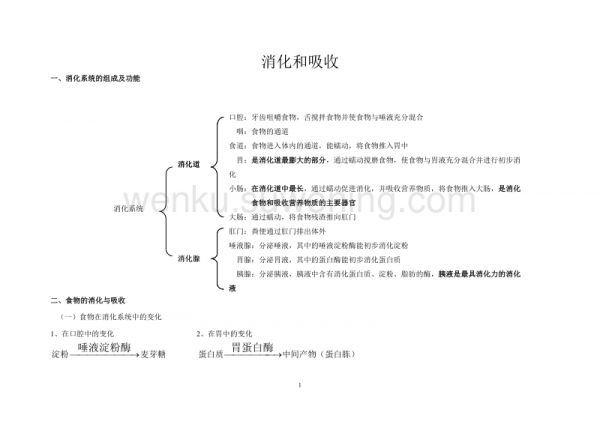 七年级生物 消化与吸收 知识点_第1页