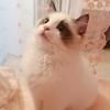 靚仔先生37