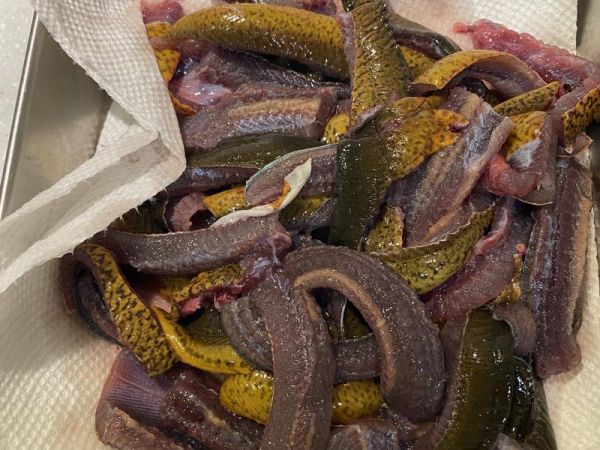 純奶手撕吐司的做法 步驟1