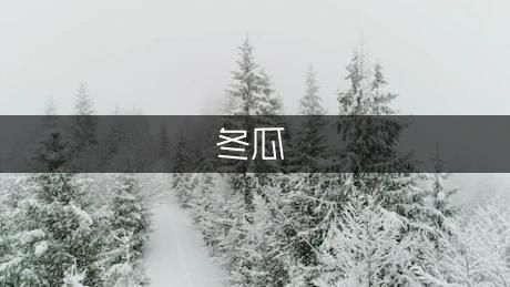 冬瓜炒蝦米的做法
