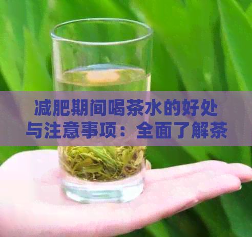 減肥期間喝茶水的好處與注意事項(xiàng)：全面了解茶水對(duì)減肥的影響及選擇方法