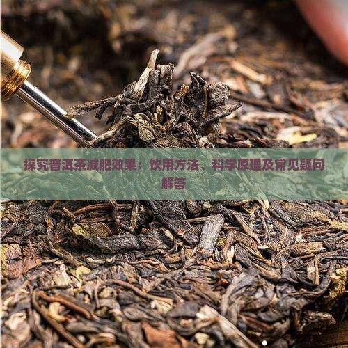 探究普洱茶減肥效果：飲用方法、科學原理及常見疑問解答