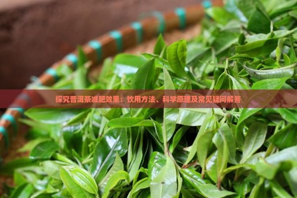 探究普洱茶減肥效果：飲用方法、科學原理及常見疑問解答