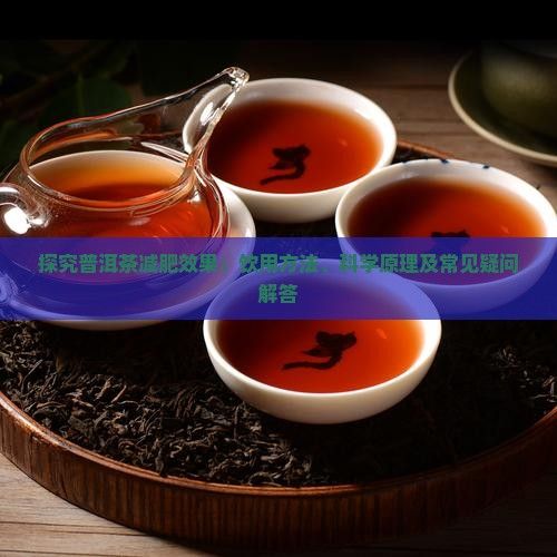 探究普洱茶減肥效果：飲用方法、科學原理及常見疑問解答