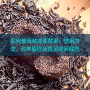 探究普洱茶減肥效果：飲用方法、科學原理及常見疑問解答