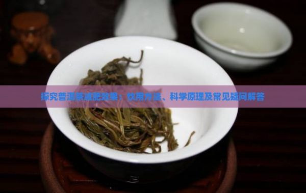 探究普洱茶減肥效果：飲用方法、科學原理及常見疑問解答
