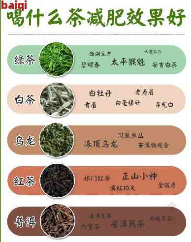 全面解讀減肥茶排行榜：權(quán)威評測 科學(xué)推薦，助您輕松找到減肥茶！