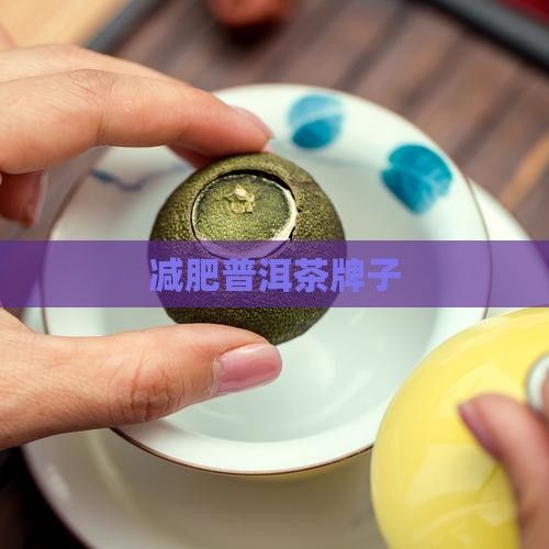 減肥普洱茶牌子