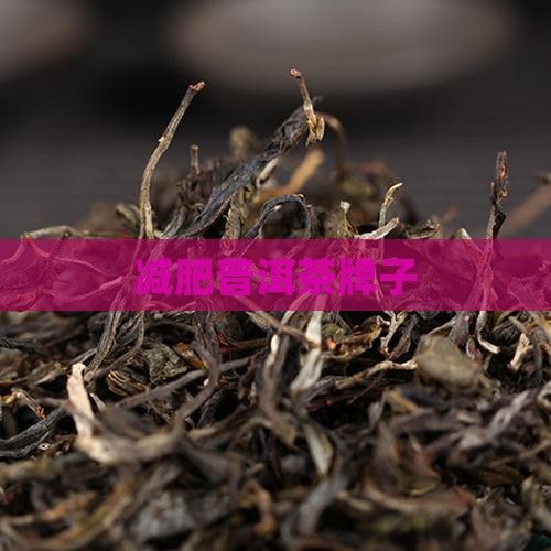 減肥普洱茶牌子