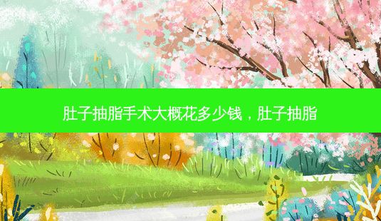 肚子抽脂手术大概花多少钱,肚子抽脂-第1张图片-一诺整形网