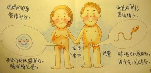 《小學生性教育讀本》引發(fā)家長吐槽：尺度太大！