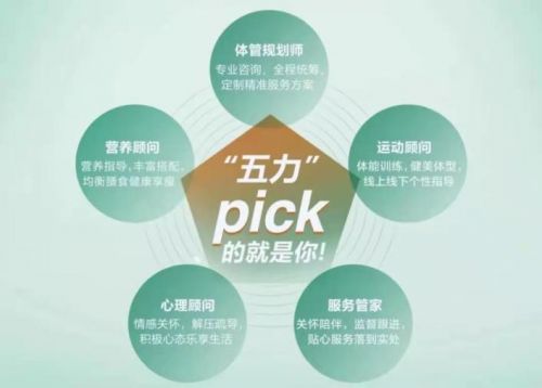 （綠瘦“五力合一”服務(wù)模式）