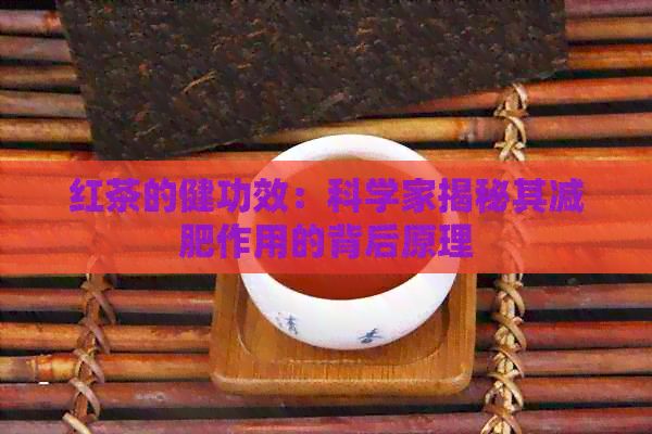 红茶的健功效：科学家揭秘其减肥作用的背后原理