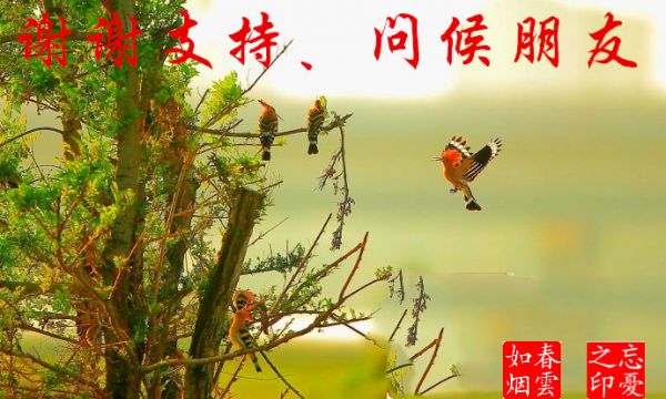 如何正確稱體重？90%的人都不知道！