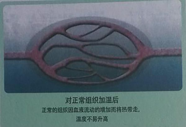 圖片5.png