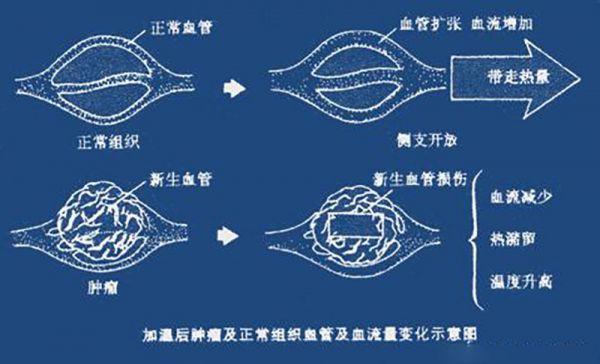 圖片7.png