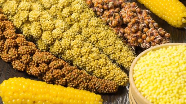 各年齡階段粗雜糧的健康吃法