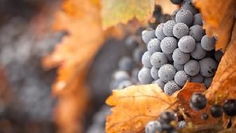 減肥怎么增加飽腹感，6個方法很靠譜