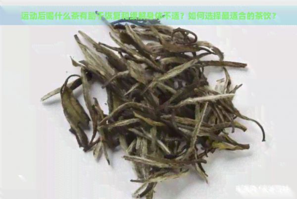運動后喝什么茶有助于恢復和緩解身體不適？如何選擇最適合的茶飲？
