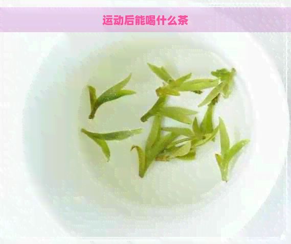 運動后能喝什么茶