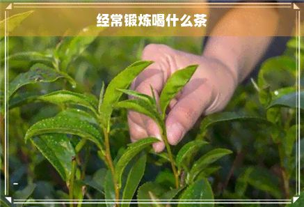 經(jīng)常鍛煉喝什么茶