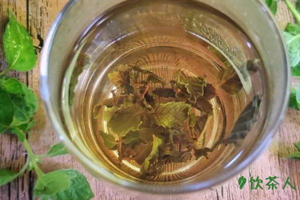 健身喝什么茶好，健身運動喝什么茶最好(七款茶元氣滿滿)