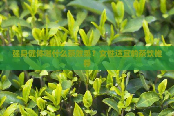 强身健体喝什么茶效果？女性适宜的茶饮推荐