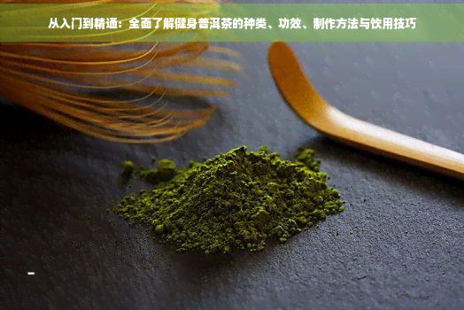 從入門到精通：全面了解健身普洱茶的種類、功效、制作方法與飲用技巧