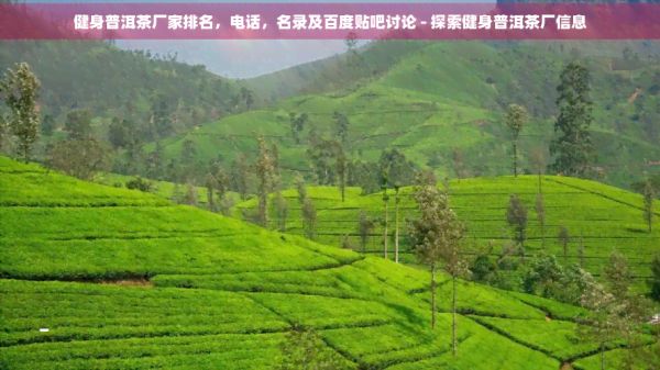 健身普洱茶廠家排名，電話，名錄及百度貼吧討論 - 探索健身普洱茶廠信息