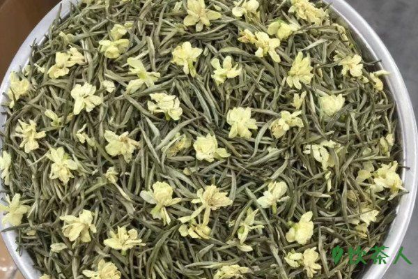 健身期間喝什么茶比較好，健身適合喝什么茶(六大適飲名茶)