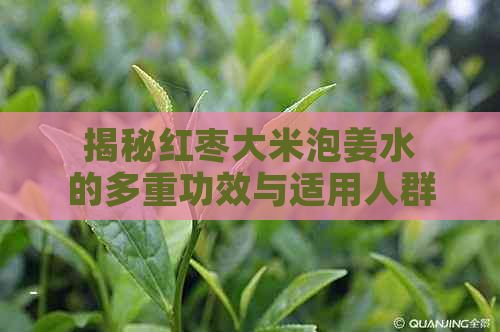 揭秘红枣大米泡姜水的多重功效与适用人群：全攻略