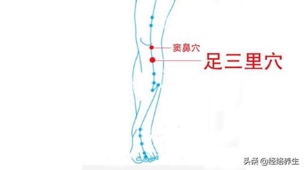 健康的3个目标是什么？我们怎样去实现这三个目标呢？锻炼经络