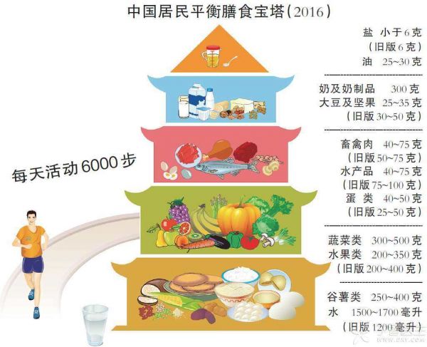 膳食寶塔.jpg