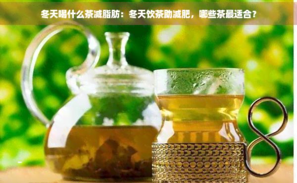 冬天喝什么茶減脂肪：冬天飲茶助減肥，哪些茶最適合？