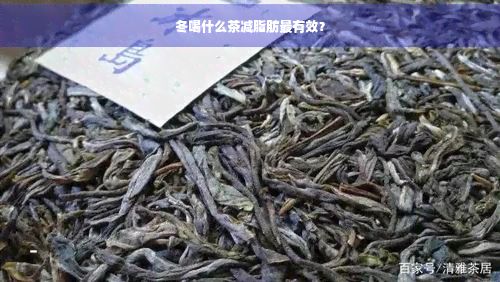 冬喝什么茶減脂肪最有效？
