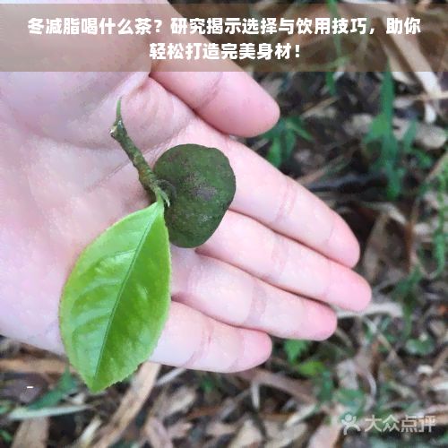 冬減脂喝什么茶？研究揭示選擇與飲用技巧，助你輕松打造完美身材！