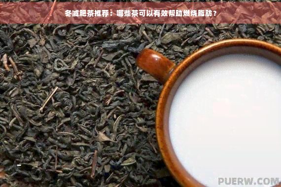 冬减肥茶推荐：哪些茶可以有效帮助燃烧脂肪？