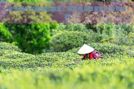 冬天喝什么茶适合减肥：驱寒瘦身效果的六款茶推荐