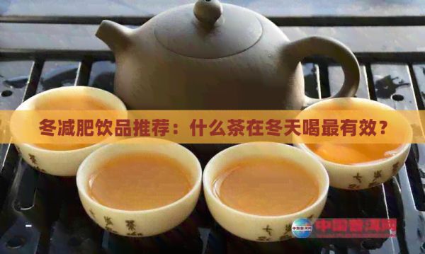 冬減肥飲品推薦：什么茶在冬天喝最有效？