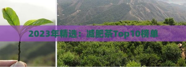 2023年精選：減肥茶Top10榜單