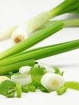 蔬菜 蔥_11049450_xl