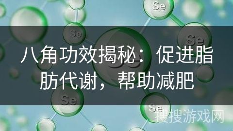 八角功效揭秘：促進(jìn)脂肪代謝，幫助減肥