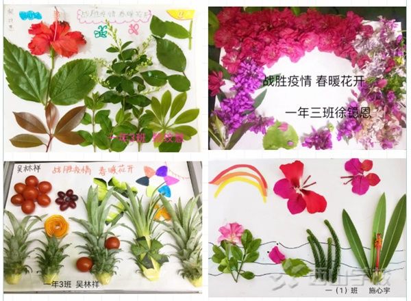 停課不停學(xué) 