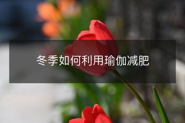 冬季如何利用瑜伽减肥