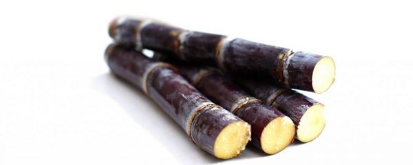 經(jīng)期吃什么排凈子宮污血 月經(jīng)期間吃桑葚有什么好處 女人月經(jīng)期間如何保健