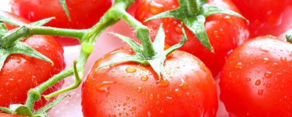 經(jīng)期如何飲食 經(jīng)期怎么飲食好 經(jīng)期飲食吃什么好