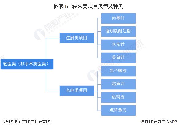 圖表1：輕醫(yī)美項(xiàng)目類型及種類